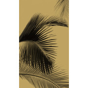 Panoramique Honey Palm -MOONLIGHT- Caselio MLG101292098