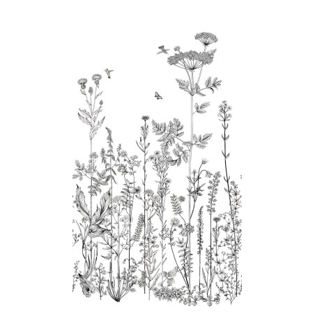 Panoramique Wild Flowers Noir -MOONLIGHT- Caselio MLG101319104