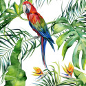 Panoramique Parrot I -116614- Greenery - AS CREATION