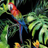 Panoramique Parrot II -116615- Greenery - AS CREATION