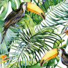 Panoramique Toucan II -11610- Greenery - AS CREATION