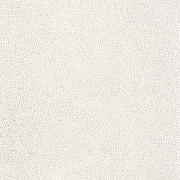 Papier peint Sparkle blanc argent -GREEN LIFE- GNL101730099