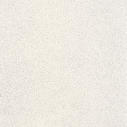 Papier peint Sparkle blanc argent -GREEN LIFE- GNL101730099