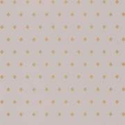 Papier peint Talisman gris doré - MYSTERY - Caselio MYY101629121