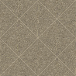 Papier peint Perception Noir - UTOPIA - Casadeco UTOP85139426
