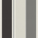 Papier peint Rayures Noir Gris Argent -CLUB BOTANIQUE- Rasch 539035