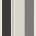 Papier peint Rayures Noir Gris Argent -CLUB BOTANIQUE- Rasch 539035