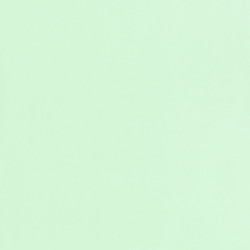 Papier peint Uni vert menthe - JUNGLE - Caselio - JUN69867910