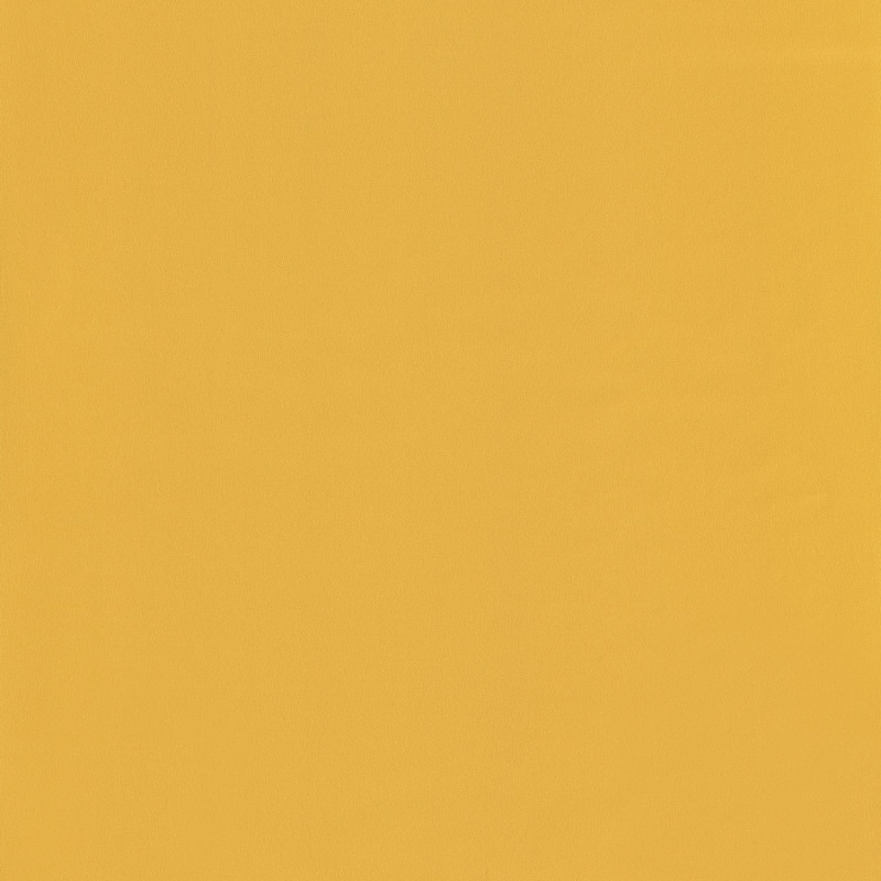 Papier peint Uni jaune – JUNGLE - Caselio - JUN69862202 