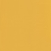 Papier peint Uni jaune – JUNGLE - Caselio - JUN69862202 