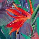 Papier peint à motif PARADISE FLOWER rouge JF2301 - JUNGLE FEVER - Grandeco