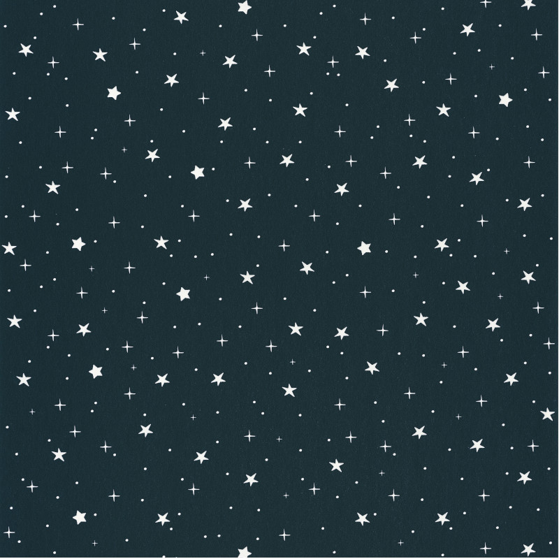 Papier peint à motif STARS IN YOUR EYES bleu nuit et beige OUP101926918 - OUR PLANET - Caselio