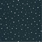 Papier peint Stars In Your Eyes bleu nuit et beige - OUR PLANET - Caselio - OUP101926918 