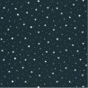 Papier peint à motif STARS IN YOUR EYES bleu nuit et beige OUP101926918 - OUR PLANET - Caselio
