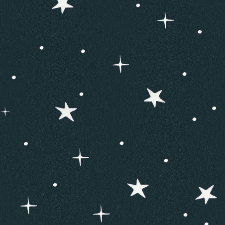 Papier peint à motif STARS IN YOUR EYES bleu nuit et beige OUP101926918 - OUR PLANET - Caselio