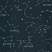 Papier peint à motif CONSTELLATIONS bleu nuit OUP101916918 - OUR PLANET - Caselio