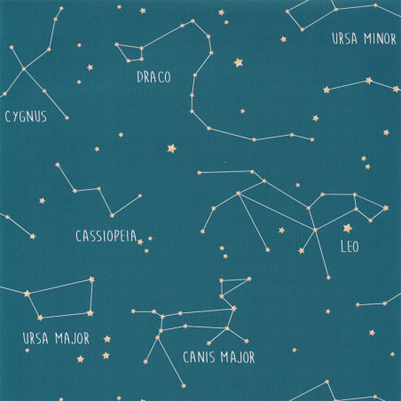 Papier peint Constellations bleu mer - OUR PLANET - Caselio - OUP101916003