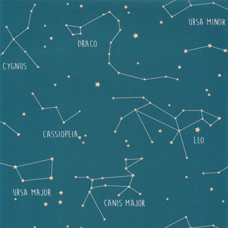 Papier peint à motif CONSTELLATIONS bleu mer OUP101916003 - OUR PLANET - Caselio