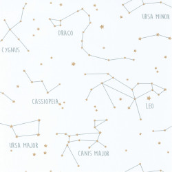 Papier peint Constellations blanc et vert d'eau - OUR PLANET - Caselio - OUP101917125 
