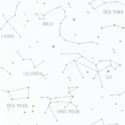 Papier peint à motif CONSTELLATIONS blanc et vert d'eau OUP101917125 - OUR PLANET - Caselio