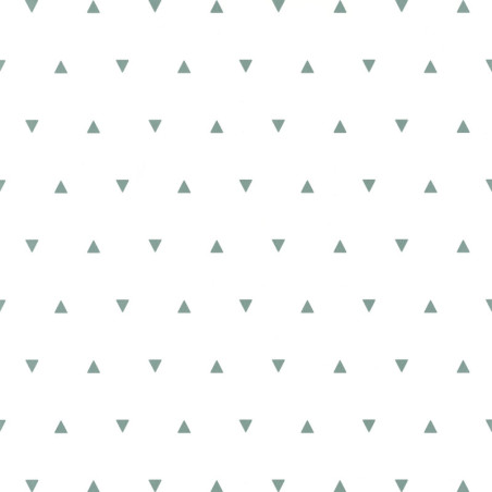 Papier peint à motif BERMUDA TRIANGLE vert d'eau OUP101991111 - OUR PLANET - Caselio Papier peint à motif BERMUDA TRIANGLE vert d'eau OUP101991111 - OUR PLANET - Caselio