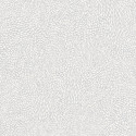 Papier peint April argenté - FLOWER POWER - Caselio - FLP101849090