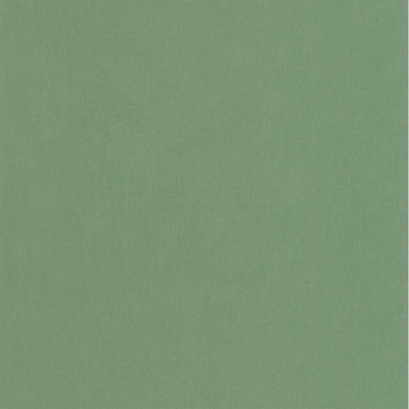 Papier peint uni LIFE vert FLP64527170 - FLOWER POWER - CASELIO