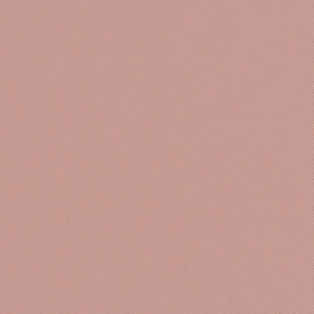 Papier peint Uni Life vieux rose - FLOWER POWER - Caselio - FLP64524180 