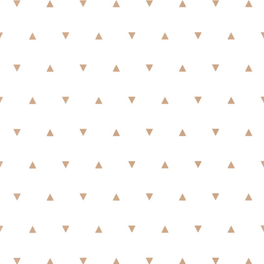Papier peint à motif BERMUDA TRIANGLE beige OUP101991111 - OUR PLANET - Caselio
