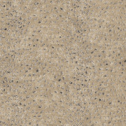 Papier Peint Tender Desert - CABINET OF CURIOSITIES - Khrôma by Masureel - CAB801
