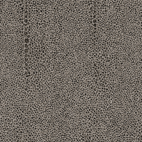 Papier Peint Iguana Clay - CABINET OF CURIOSITIES - Khrôma by Masureel - CAB901