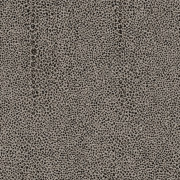 Papier Peint Iguana Clay - CABINET OF CURIOSITIES - Khrôma by Masureel - CAB901