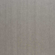 Papier peint Dandy Uni Gallant gris souris - BLOSSOM - Casamance - B72341063