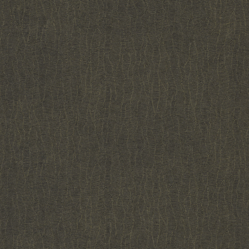 Papier peint Dandy Uni Gallant noir doré - BLOSSOM - Casamance - B72342374