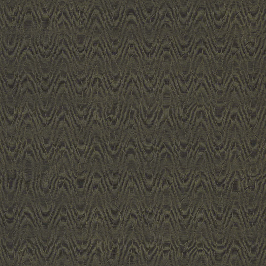 Papier peint Dandy Uni Gallant noir doré - BLOSSOM - Casamance - B72342374