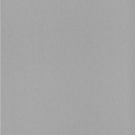 Papier peint Uni gris - 1930 - Casadeco - MNCT13219424
