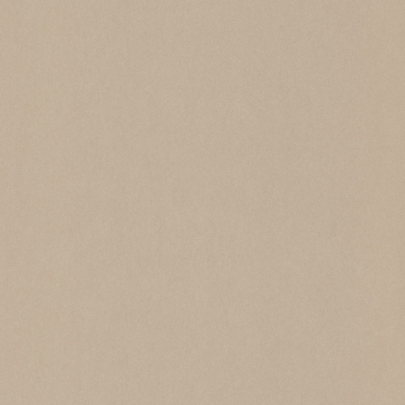 Papier peint Uni beige - 1930 - Casadeco - MNCT60401000