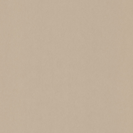 Papier peint Uni beige - 1930 - Casadeco - MNCT60401000