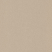 Papier peint Uni beige - 1930 - Casadeco - MNCT60401000