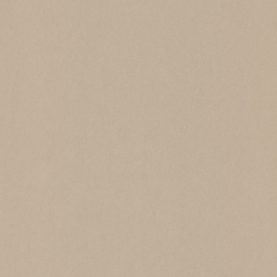 Papier peint Uni beige - 1930 - Casadeco - MNCT60401000