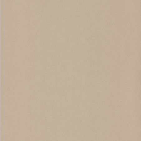 Papier peint Uni beige - 1930 - Casadeco - MNCT60401000