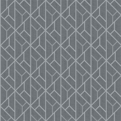 Papier peint Nervures gris argent - GALACTIK - Ugepa - L940-09