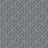 Papier peint Nervures gris - GALACTIK - Ugepa - L940-09