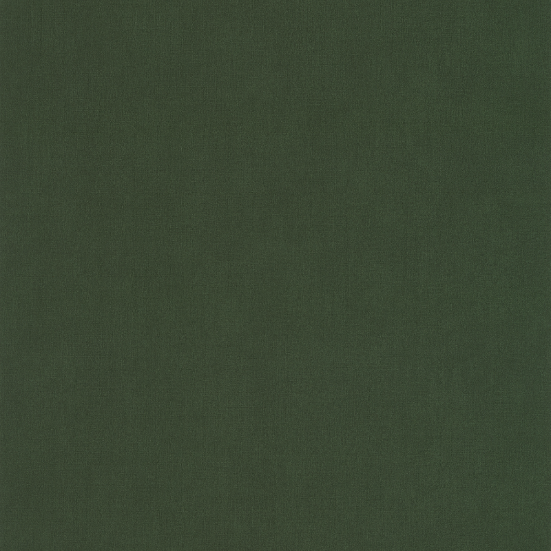 Papier peint Uni Life vert kaki - LABYRINTH - Caselio - LBY64527370