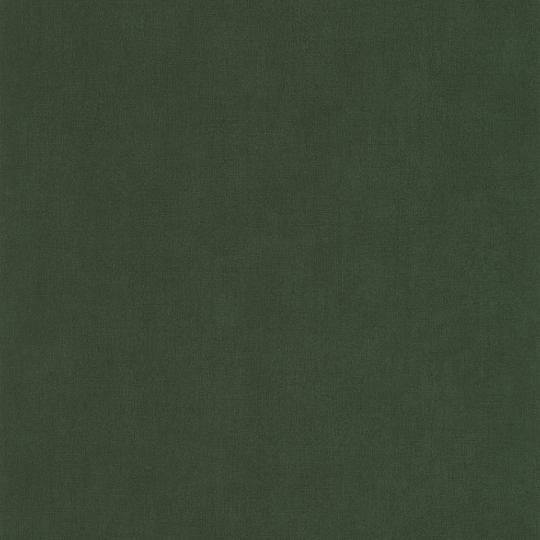 Papier peint Uni Life vert kaki - LABYRINTH - Caselio - LBY64527370