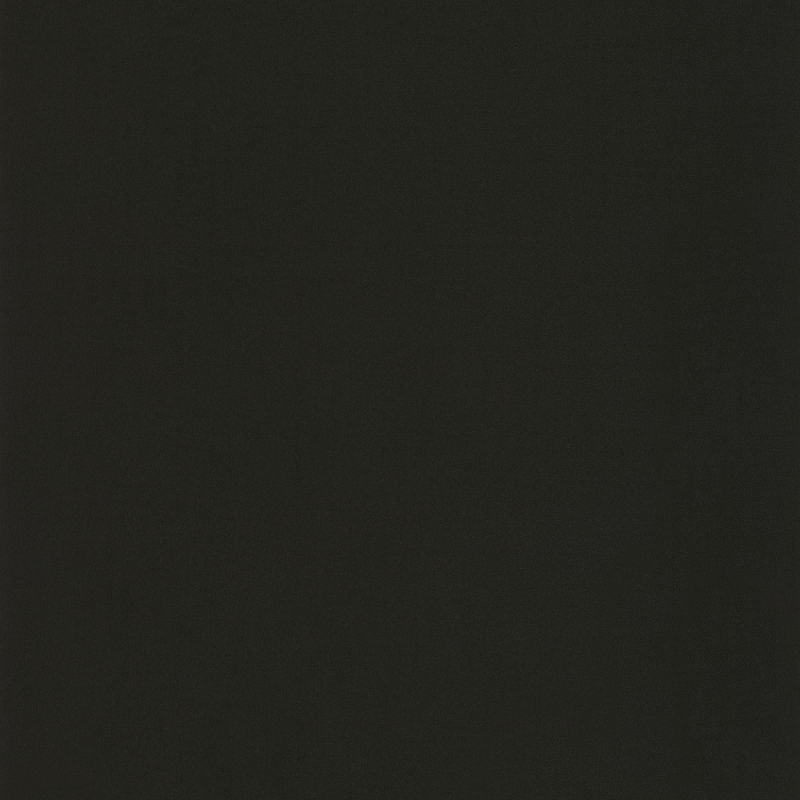 Papier peint Uni Life noir - LABYRINTH - Caselio - LBY64529800