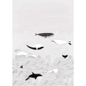 Panoramique Sous l'Océan noir et blanc - BAMBINO - Rasch - BBN842531