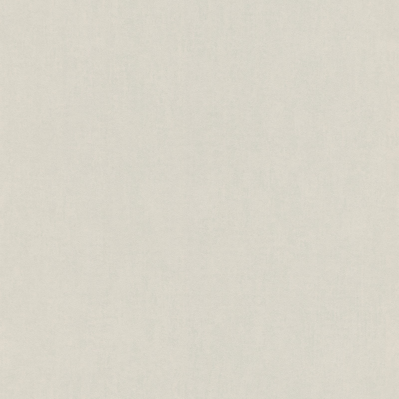 Papier peint Uni gris clair - BAMBINO - Rasch - BBN247114