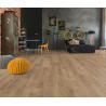 Sol stratifié chêne Discret D3668 AF - Mega Plus KRONOTEX