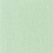 Papier peint Uni Natté vert amande - GREEN LIFE - Caselio - GNL101567001